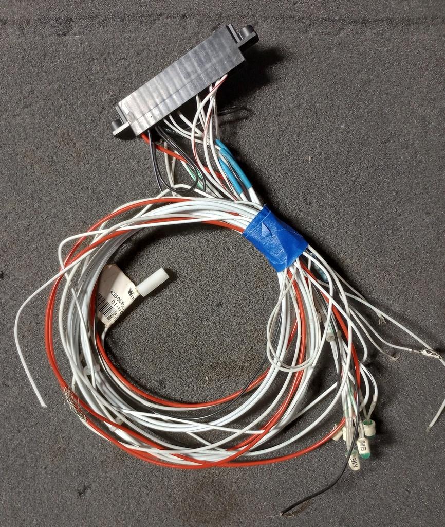 Pius-106