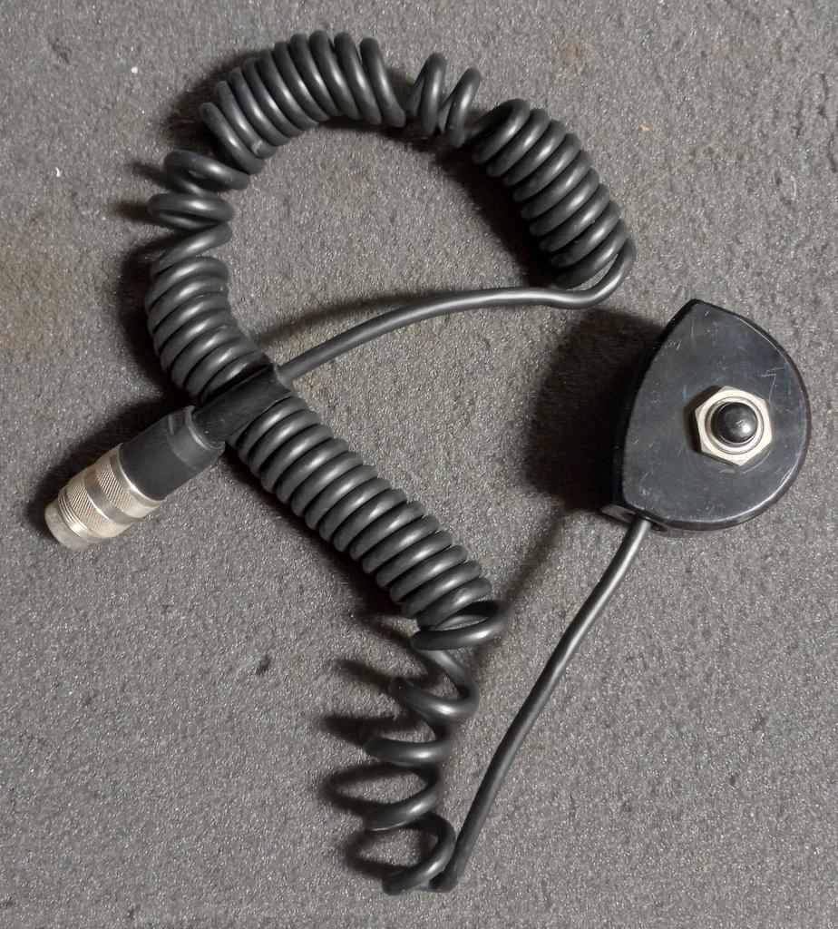 PushtoTalkSwitch