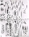 1000001534.webp