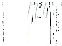17477.webp