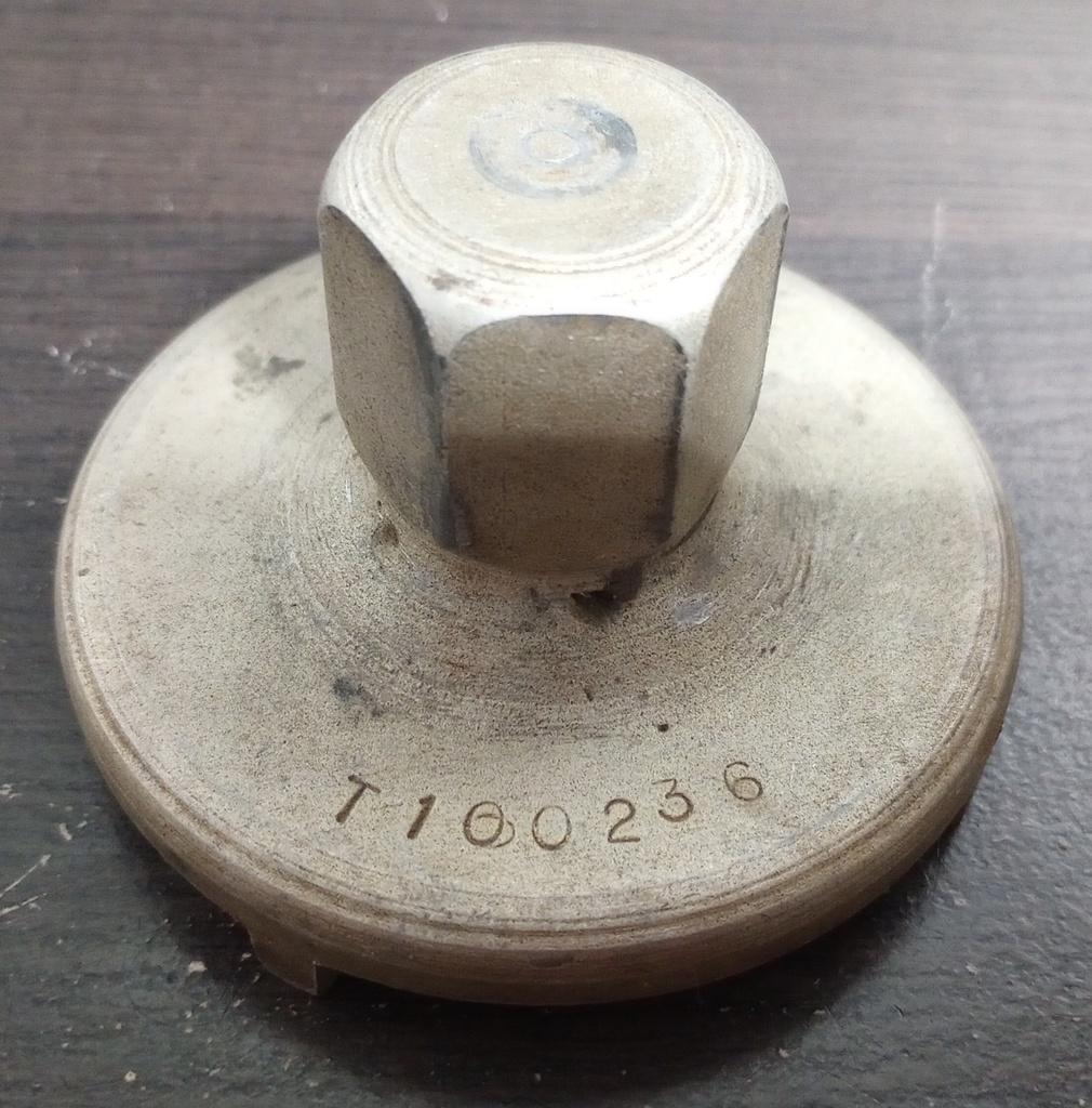 T100236