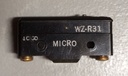 WZ-R31