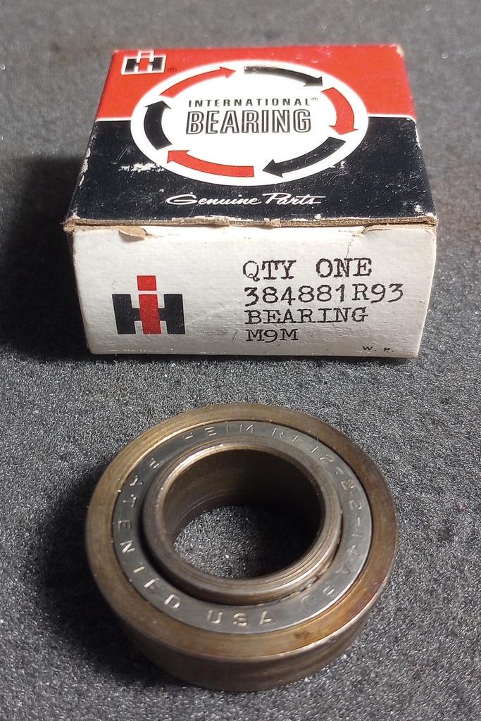 384881R93