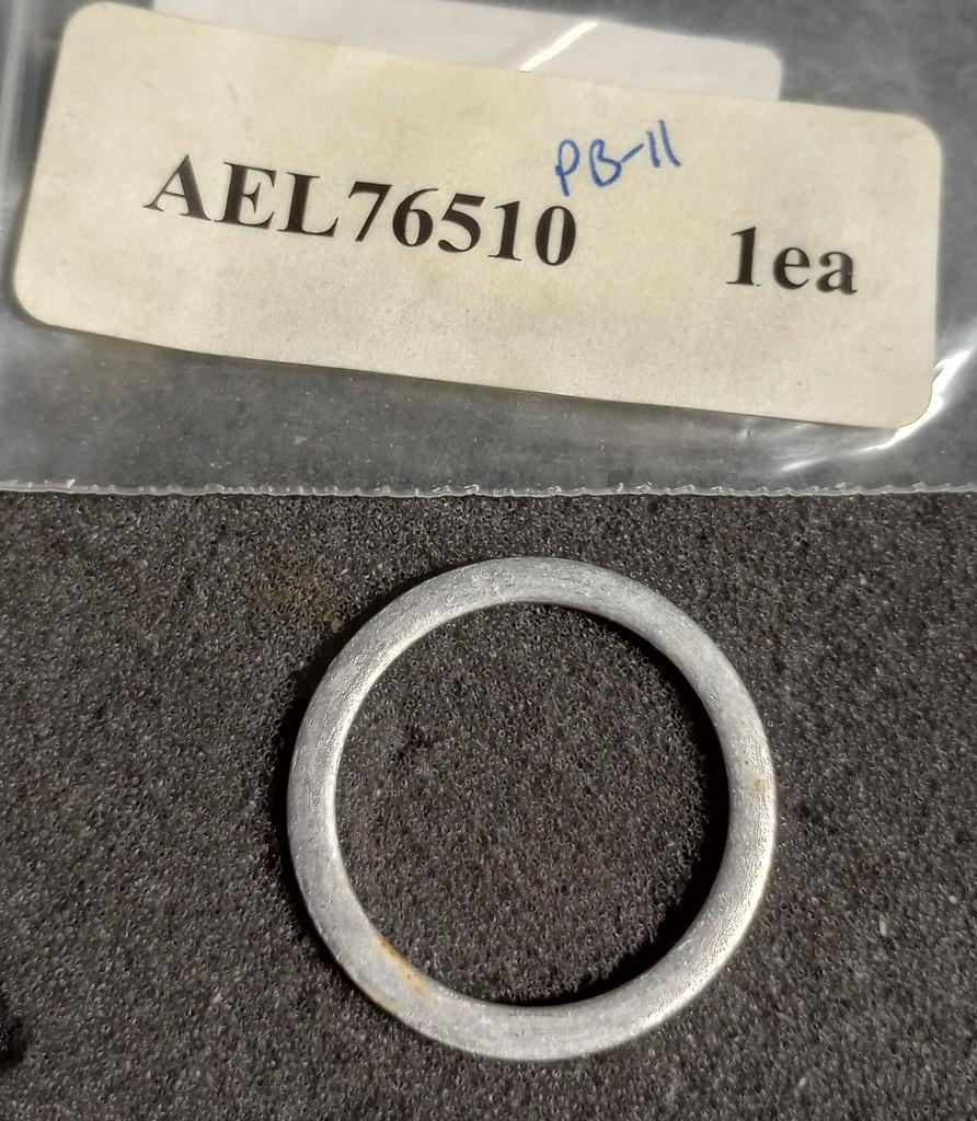 AEL76510